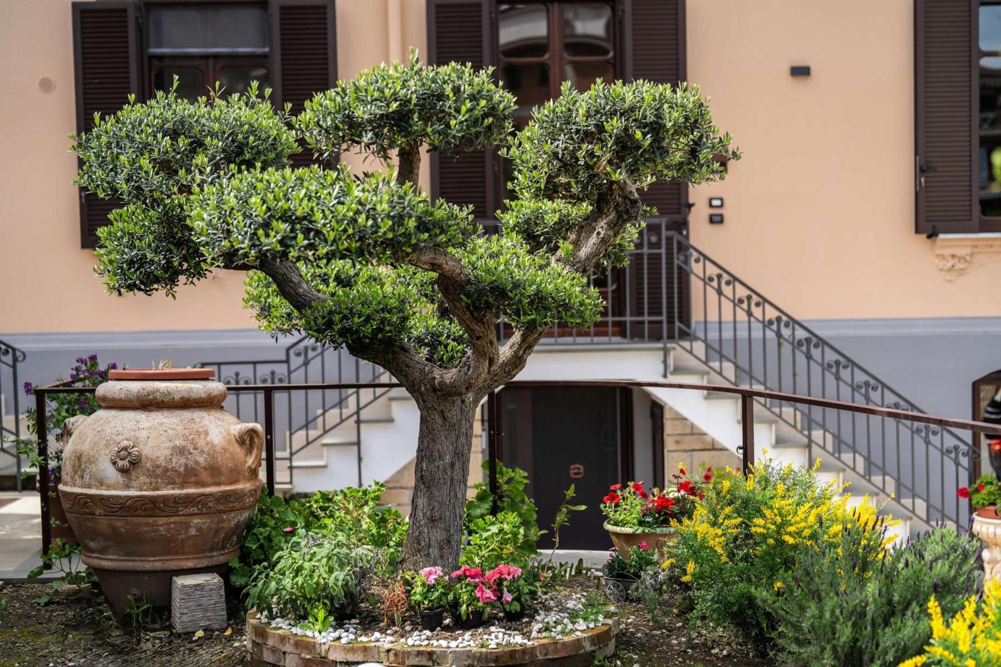 Villa Agostino Luxury B&B Vico Equense Exterior foto